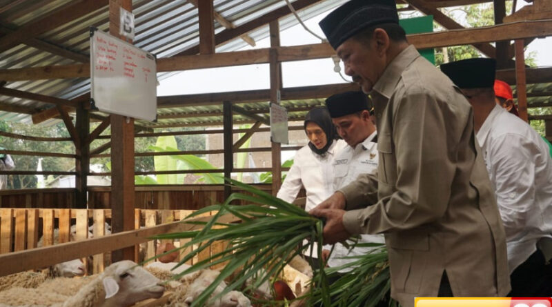 entaskan kemiskinan baznas ri luncurkan program balai ternak di kabupaten mojokerto