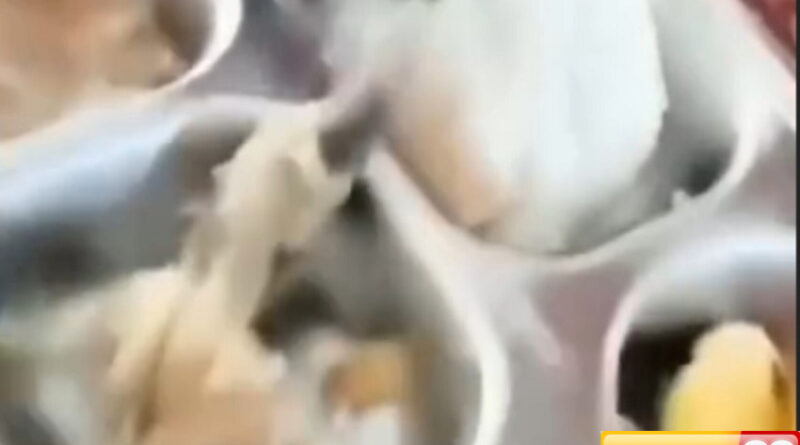 murid sdn 33 kasipute bombana muntah usai konsumsi mbg bgn minta maaf