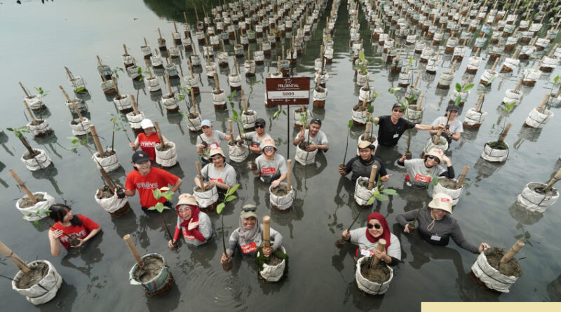 prudential dukung keberlanjutan lingkungan di kepulauan seribu