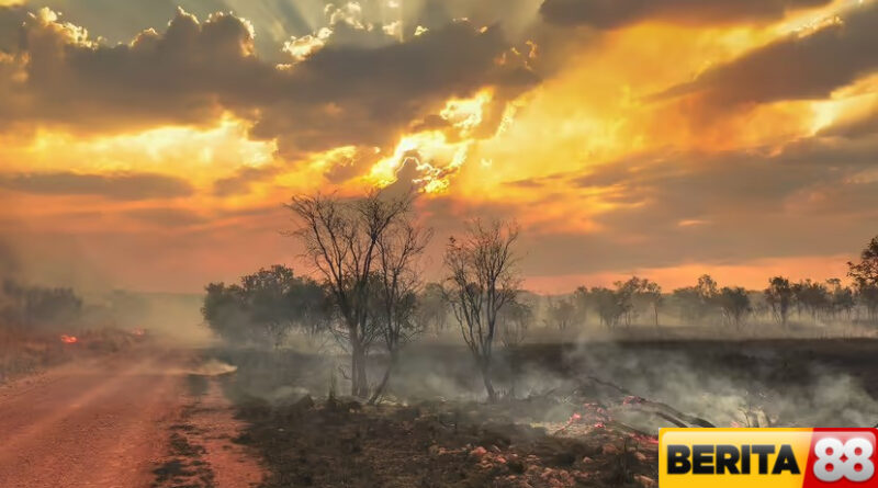 15 kebakaran hutan terbesar dalam sejarah dunia israel nomor berapa