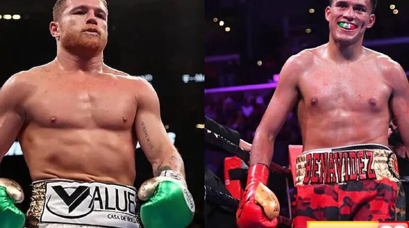 canelo hindari david benavidez bob arum dia bukan petinju tapi pebisnis