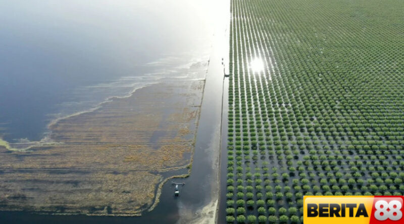 danau raksasa tiba tiba muncul kembali setelah 130 tahun menghilang