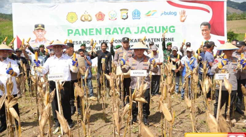 kapolri dan menteri pertanian panen raya jagung di bone dukung program ketahanan pangan nasional
