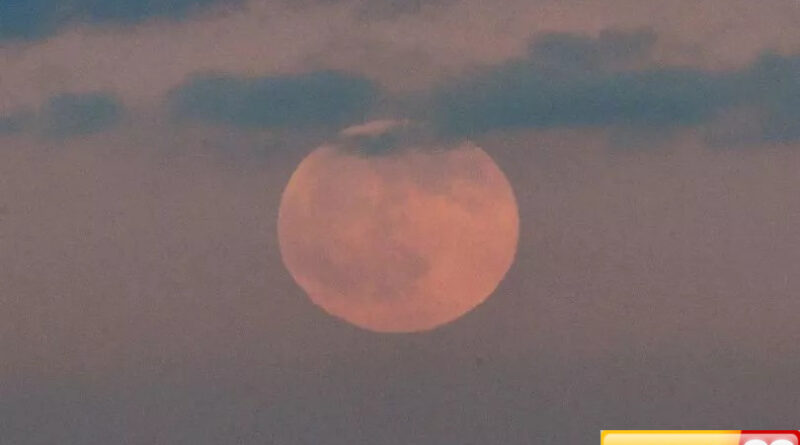 kualitas udara berbahaya 50000 warga florida diminta tidak keluar rumah