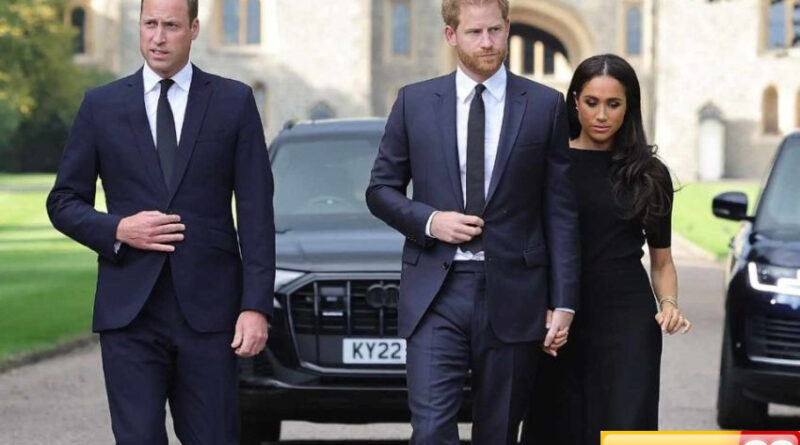 pangeran william kirim sinyal damai tak ingin harry meghan markle dipermalukan soal gelar kerajaan