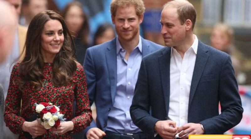 pangeran william larang kate middleton hubungi harry diminta jaga jarak
