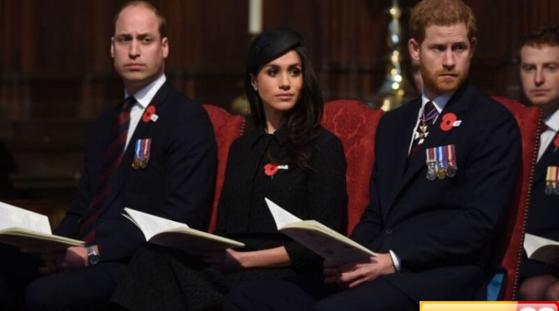pangeran william minta bantuan pemerintah untuk singkirkan harry meghan dari garis suksesi