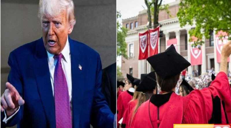 paniknya para mahasiwa china usai trump larang universitas havard terima pelajar asing