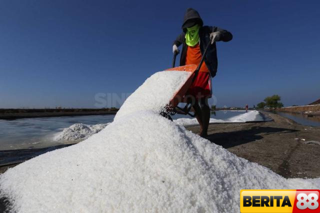 pemerintah buka kembali keran impor garam sampai 2027 ini alasannya