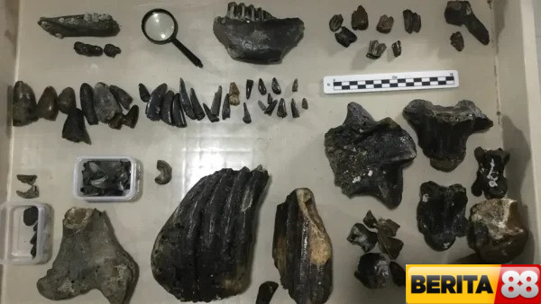 penemuan bawah laut indonesia berusia 140000 tahun ungkap rahasia manusia purba