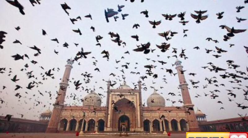 perbandingan jumlah umat muslim di pakistan vs india