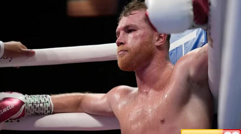 saul canelo alvarez pensiun usai duel terence crawford pertarungan terakhir