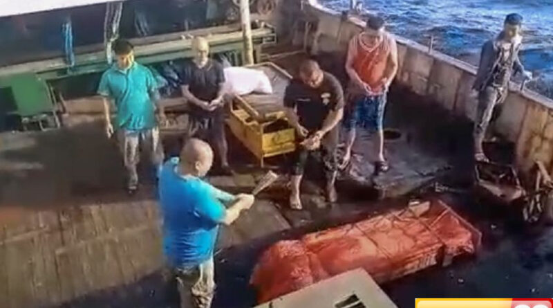 as larang impor seafood dari kapal china terkait dugaan kerja paksa