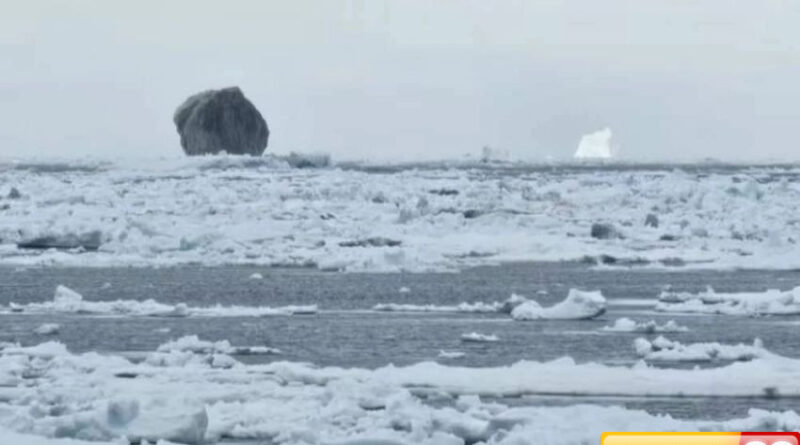 gunung es raksasa berwarna hitam muncul di laut labrador