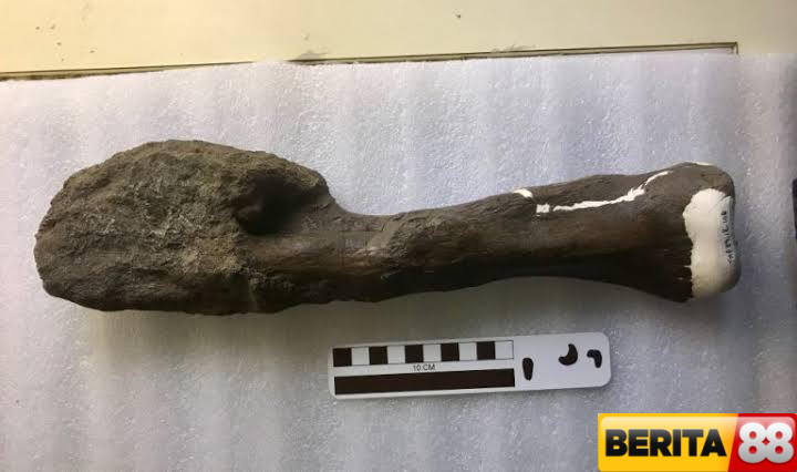 kanker pada dinosaurus ditemukan ilmuwan klaim bisa bantu selamatkan nyawa manusia