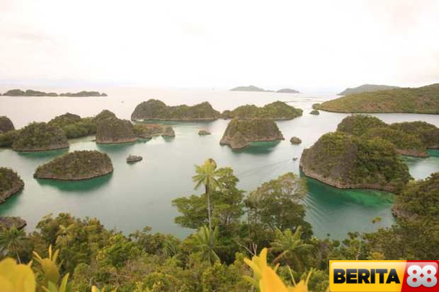 ketua komnas ham pertambangan nikel di raja ampat berpotensi kuat melanggar ham