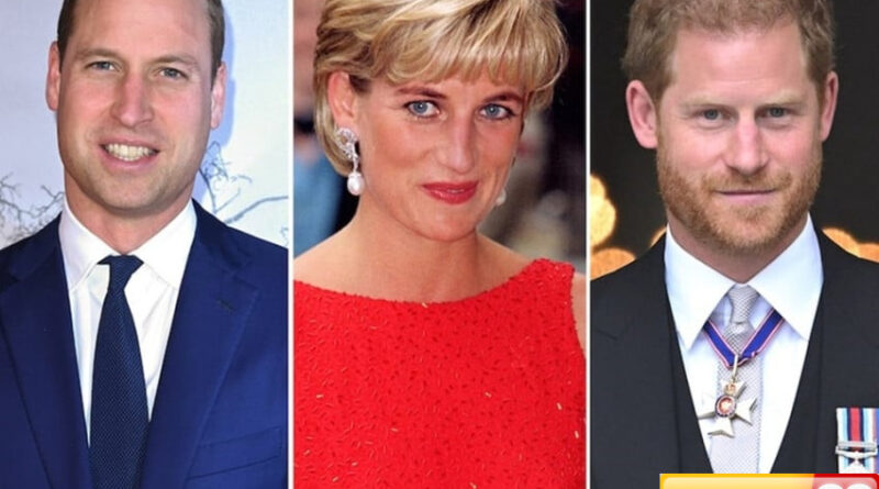 putri diana nilai pangeran harry lebih cocok jadi raja ketimbang william ini alasannya