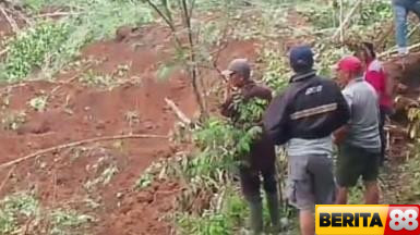 tebing longsor di tasikmalaya timpa 4 petani 2 orang masih tertimbun