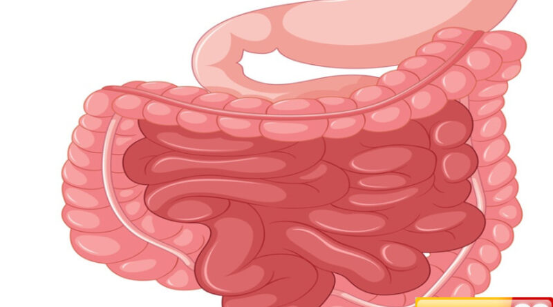 waspadai penyumbatan usus besar penyakit mematikan yang dialami indra jaylani