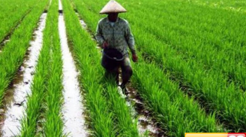 anggota dpr persoalkan kesejahteraan petani dan nelayan tak masuk sasaran pembangunan