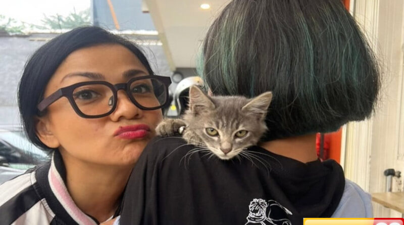 bak keluarga besar nirina zubir pelihara 24 kucing di rumah