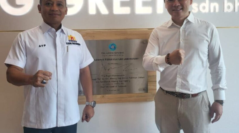 bidik kerja sama bioenergi dan karbon kredit kadin pelajari pengembangan paulownia di sarawak