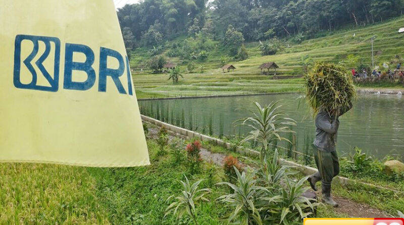 bri salurkan kur rp8338 triliun pertanian jadi motor utama
