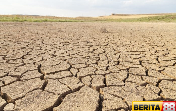 gelombang panas ekstrem picu darurat iklim global