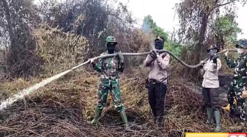 heroik kapten kowad karnilawati bertaruh nyawa pimpin pemadaman karhutla di rokan hilir