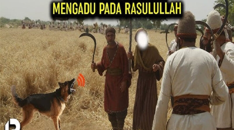 kisah sahabat nabi keutamaan abu bakar ash shiddiq dan anjing yang bisa bicara