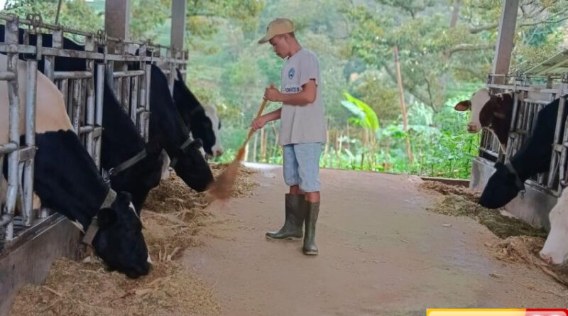klaster susu mulya abadi jadi contoh sukses program klasterkuhidupku bri