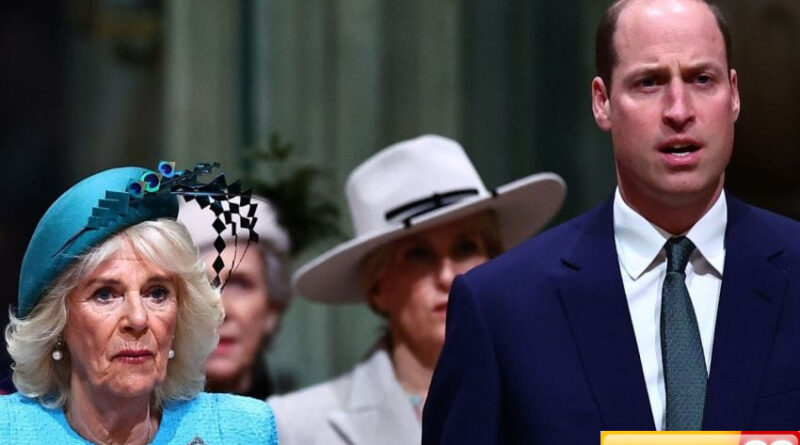 pangeran william ultimatum ratu camilla agar berhenti minum ancam depak dari kerajaan