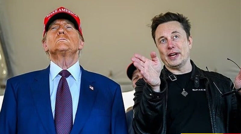 trump pertimbangkan deportasi elon musk dan doge selidiki eks kepalanya