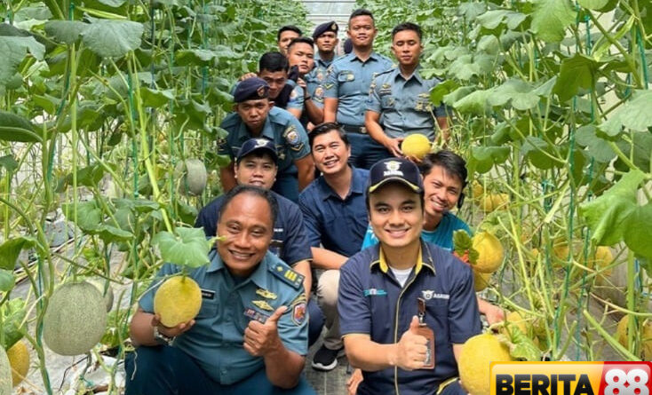 asabri hadirkan kemandirian ekonomi melalui inovasi pertanian