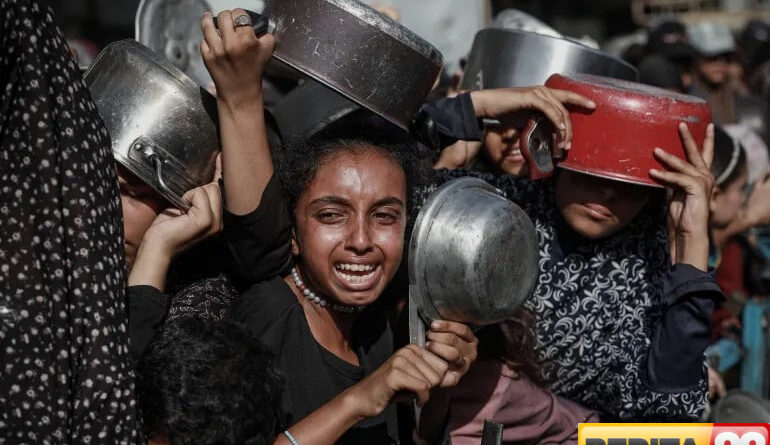 boston consulting group susun rencana pindah warga gaza ke somalia