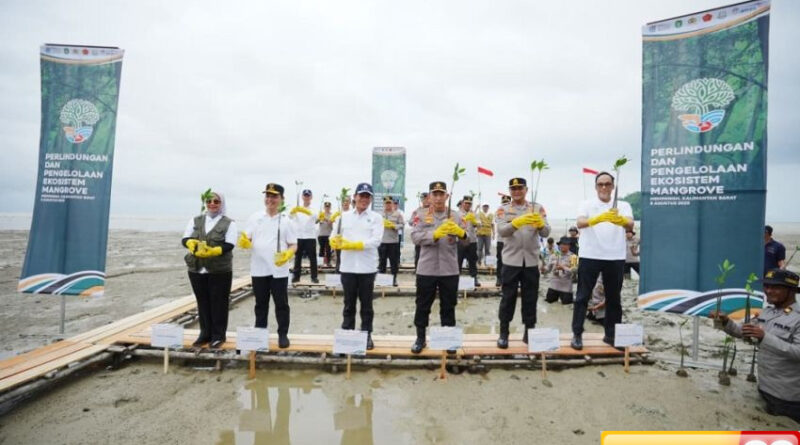 kapolri tanam mangrove di kalbar jaga lingkungan untuk masa depan anak cucu