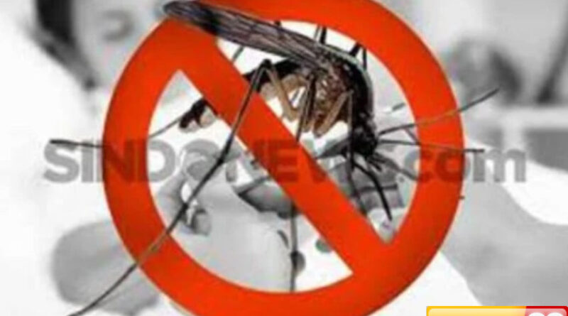 kasus chikungunya di singapura melonjak berikut 5 cara efektif mencegah penularannya