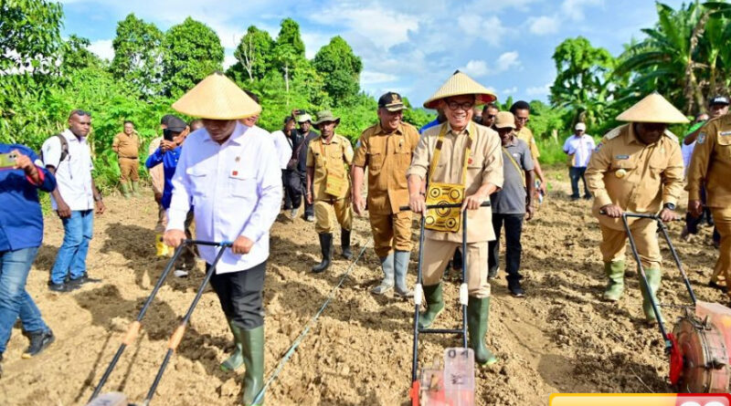 komitmen bangun papua menteri desa tanam jagung bersama warga