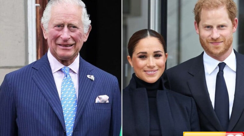 meghan markle khawatir raja charles iii menekan pangeran harry untuk bercerai