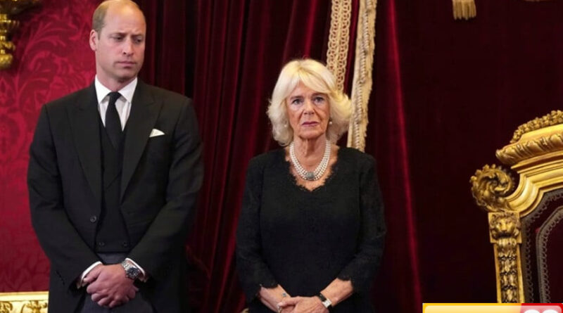 pangeran william dinilai terlalu ambisius ratu camilla ayahmu yang raja bukan kamu