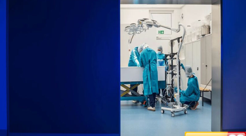 perusahaan jerman tawarkan jasa pembekuan orang mati untuk dihidupkan lagi nanti