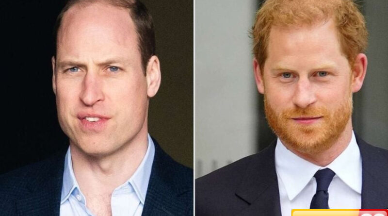 rincian warisan yang akan diterima pangeran william dan harry usai raja charles iii meninggal